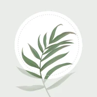 Blossom - Planteidentifikation