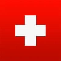 palmEM AI: EM Quick Reference